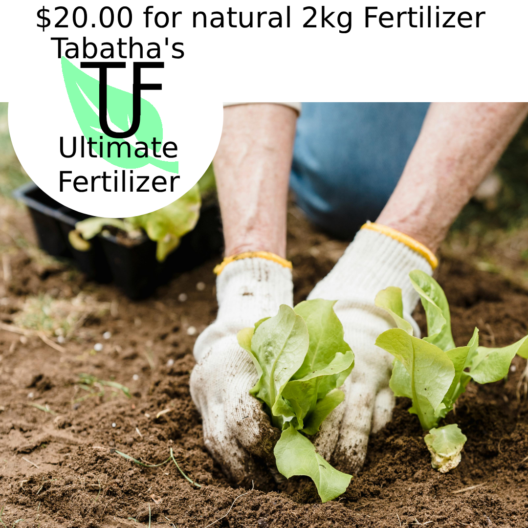 Image of Advertisement